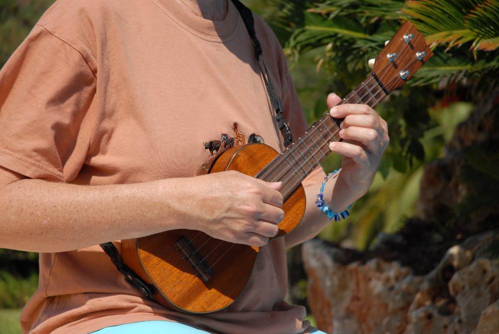 Ukulele lernen